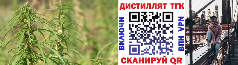 что такое наркотик Алзамай Дистиллят ТГК Wax